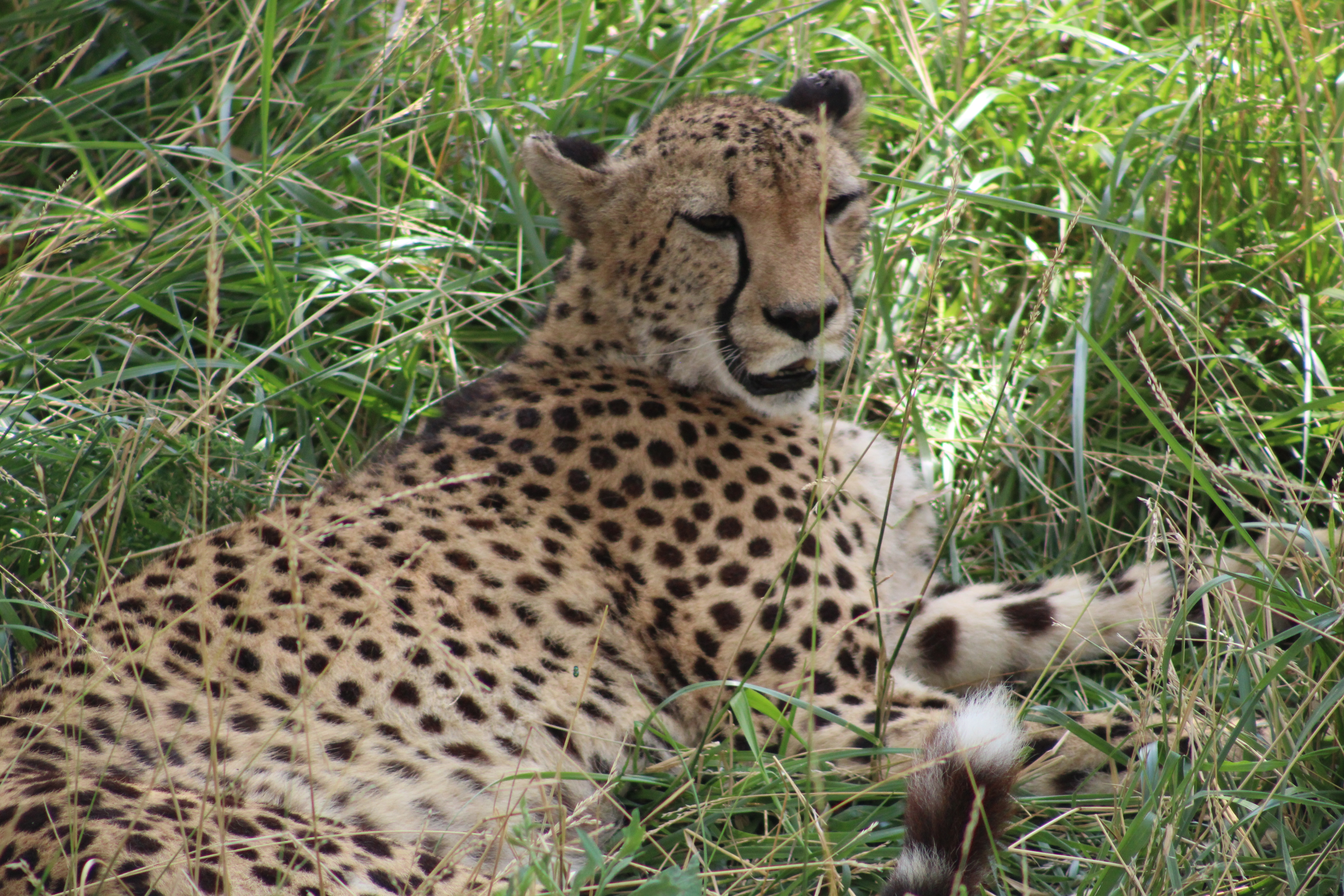 Another zoo photo